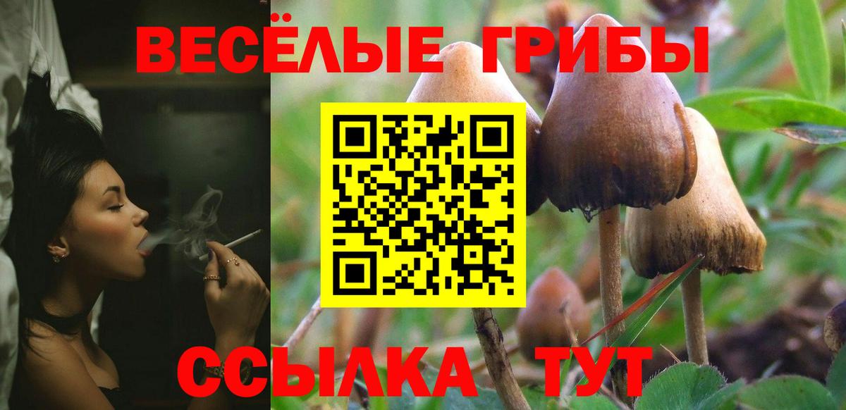 Псилоцибиновые грибы GOLDEN TEACHER Нижнеудинск