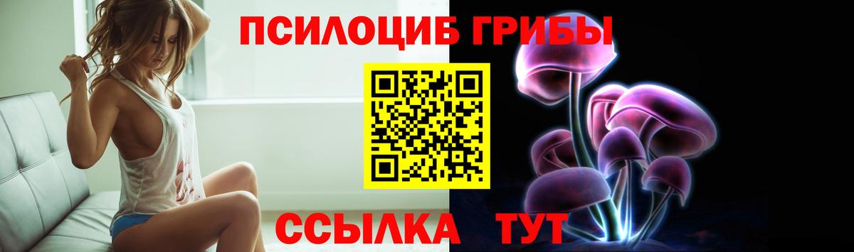 Псилоцибиновые грибы прущие грибы  Вход с VPN  Нижнеудинск  Псилоцибиновые грибы Magic Shrooms 